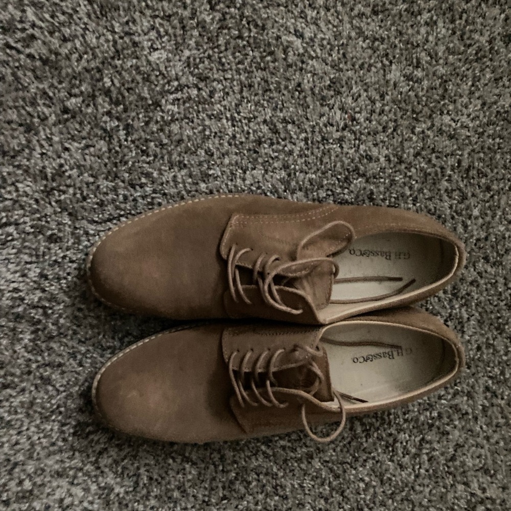 Pasadena Suede Buck